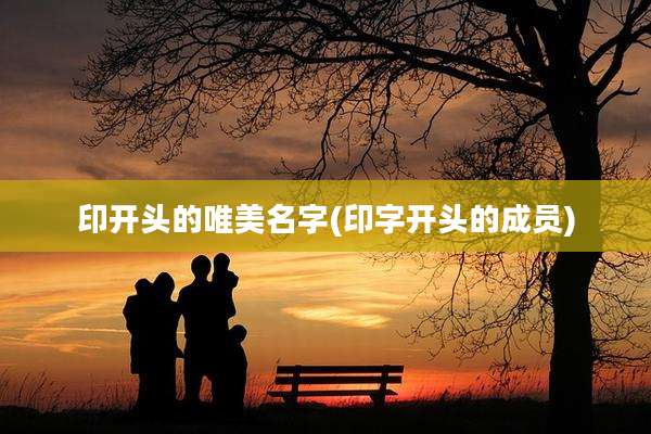印开头的唯美名字(印字开头的成员)