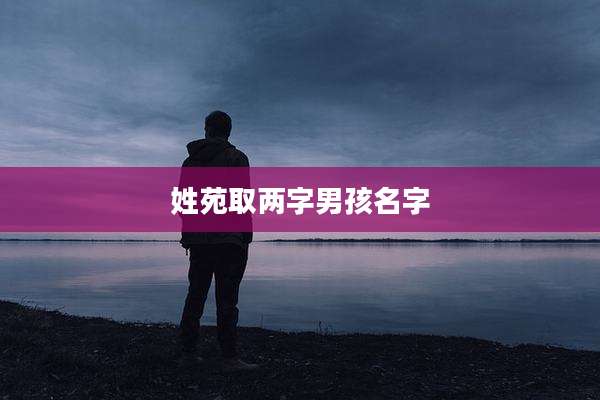 姓苑取两字男孩名字