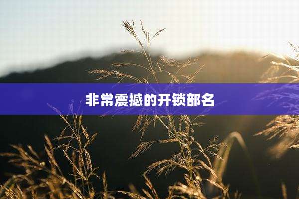 非常震撼的开锁部名
