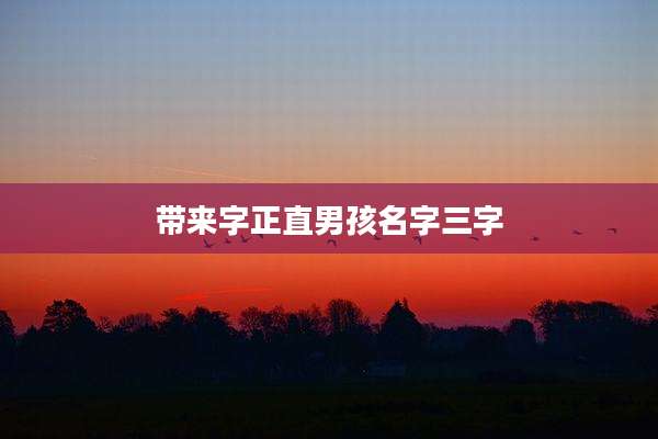 带来字正直男孩名字三字