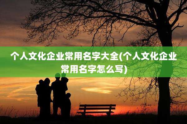 个人文化企业常用名字大全(个人文化企业常用名字怎么写)