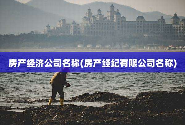 房产经济公司名称(房产经纪有限公司名称)