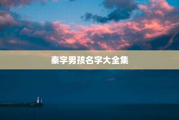 秦字男孩名字大全集