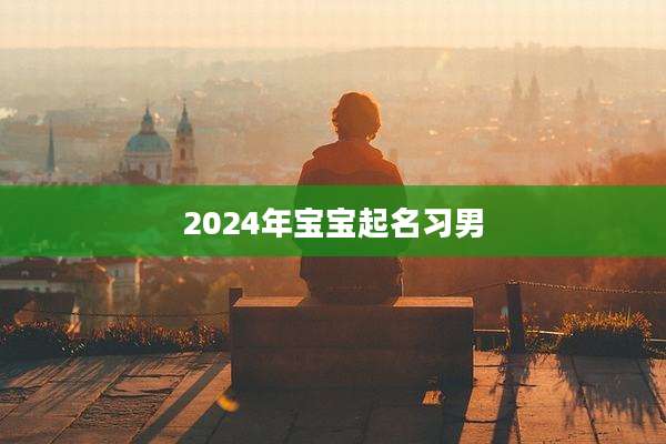 2024年宝宝起名习男