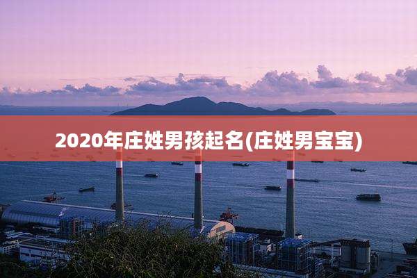 2020年庄姓男孩起名(庄姓男宝宝)