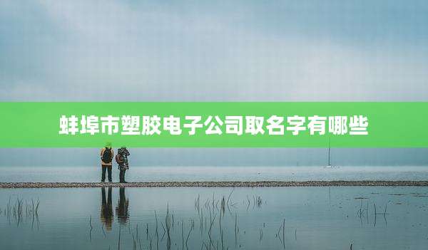 蚌埠市塑胶电子公司取名字有哪些