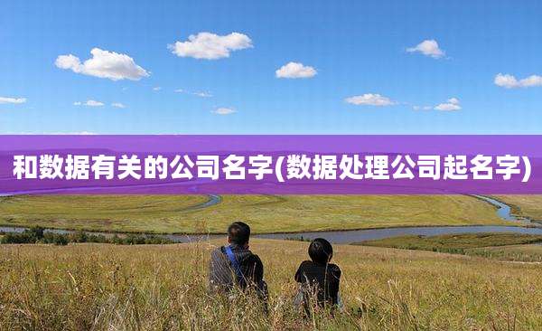 和数据有关的公司名字(数据处理公司起名字)
