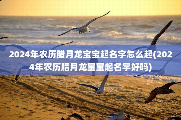 2024年农历腊月龙宝宝起名字怎么起(2024年农历腊月龙宝宝起名字好吗)