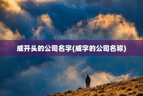 威开头的公司名字(威字的公司名称)