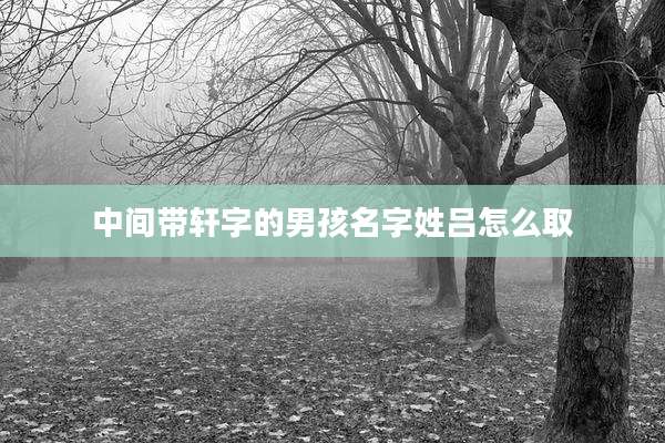 中间带轩字的男孩名字姓吕怎么取