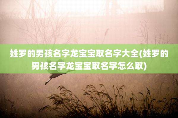 姓罗的男孩名字龙宝宝取名字大全(姓罗的男孩名字龙宝宝取名字怎么取)
