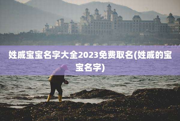 姓戚宝宝名字大全2023免费取名(姓戚的宝宝名字)