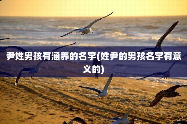 尹姓男孩有涵养的名字(姓尹的男孩名字有意义的)