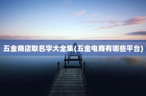 五金商店取名字大全集(五金电商有哪些平台)