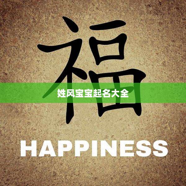 姓风宝宝起名大全