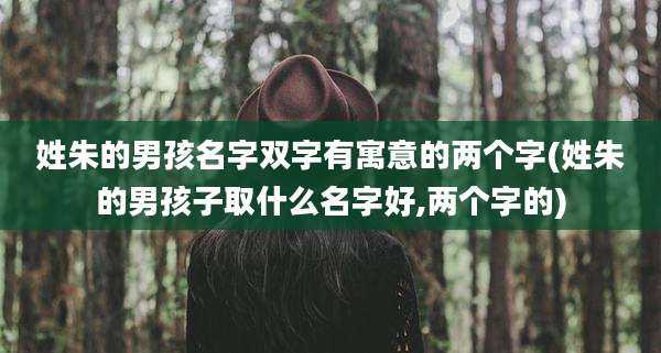 姓朱的男孩名字双字有寓意的两个字(姓朱的男孩子取什么名字好,两个字的)