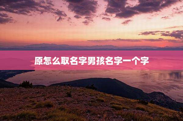 原怎么取名字男孩名字一个字