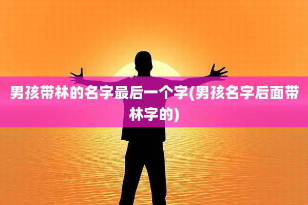 男孩带林的名字最后一个字(男孩名字后面带林字的)