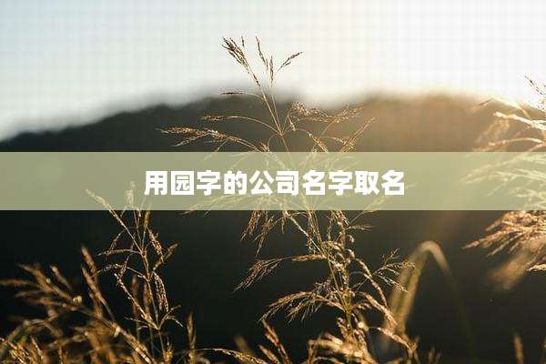 用园字的公司名字取名