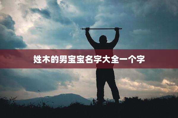 姓木的男宝宝名字大全一个字