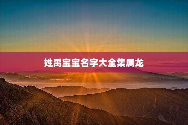 姓禹宝宝名字大全集属龙