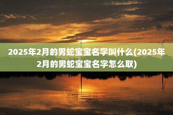2025年2月的男蛇宝宝名字叫什么(2025年2月的男蛇宝宝名字怎么取)