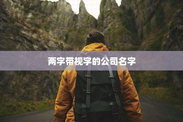 两字带视字的公司名字