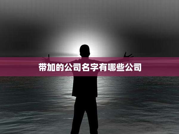 带加的公司名字有哪些公司