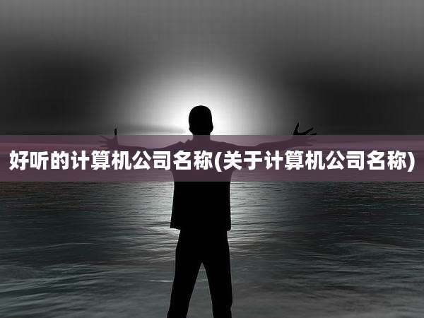 好听的计算机公司名称(关于计算机公司名称)