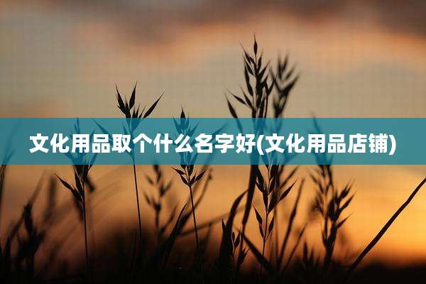 文化用品取个什么名字好(文化用品店铺)