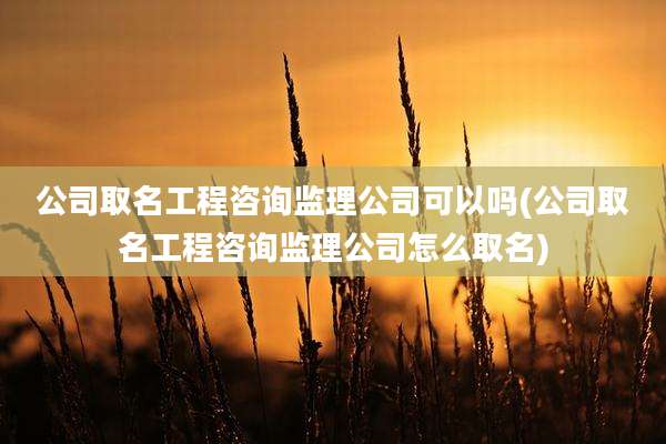 公司取名工程咨询监理公司可以吗(公司取名工程咨询监理公司怎么取名)