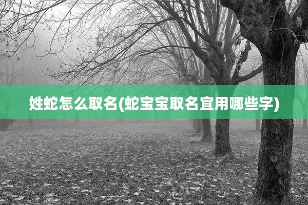 姓蛇怎么取名(蛇宝宝取名宜用哪些字)