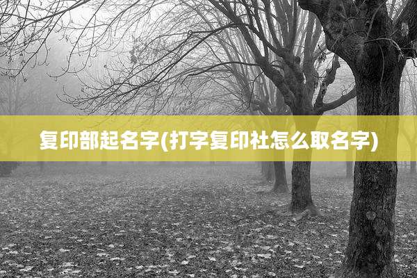 复印部起名字(打字复印社怎么取名字)