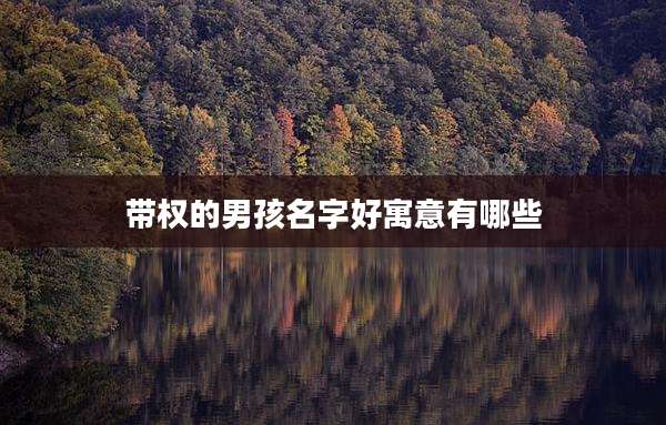 带权的男孩名字好寓意有哪些