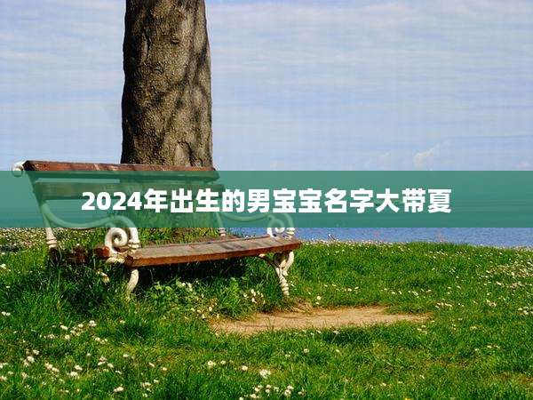 2024年出生的男宝宝名字大带夏