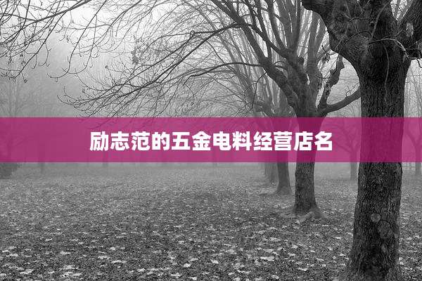 励志范的五金电料经营店名