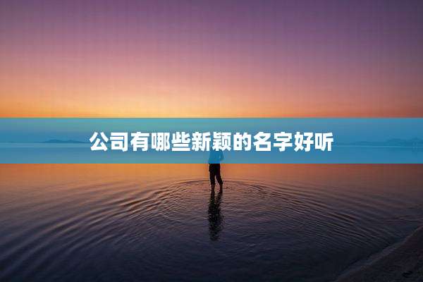 公司有哪些新颖的名字好听