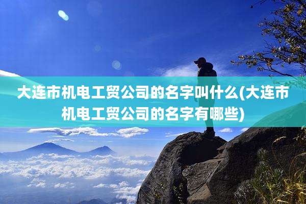 大连市机电工贸公司的名字叫什么(大连市机电工贸公司的名字有哪些)