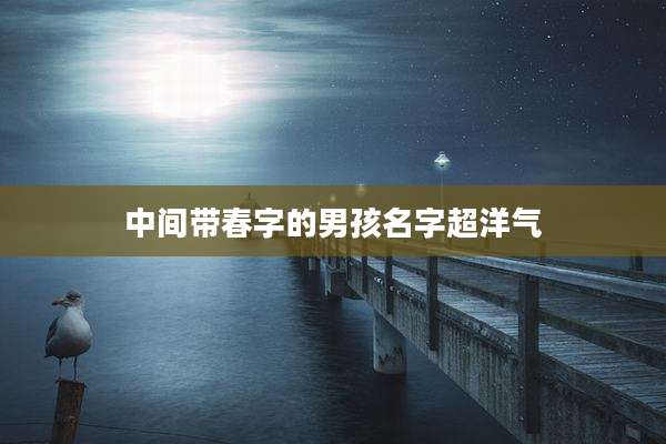 中间带春字的男孩名字超洋气