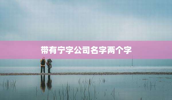 带有宁字公司名字两个字