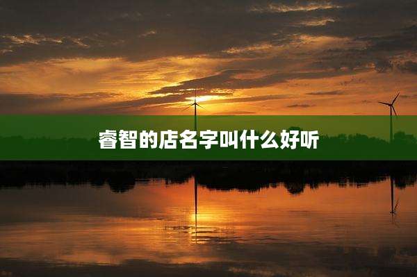 睿智的店名字叫什么好听