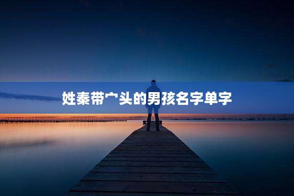 姓秦带宀头的男孩名字单字