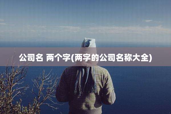 公司名 两个字(两字的公司名称大全)