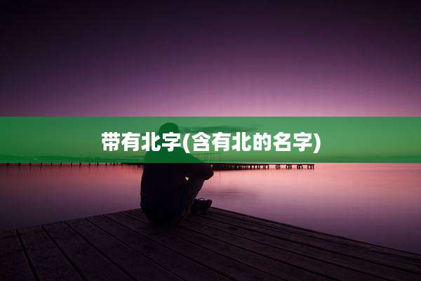 带有北字(含有北的名字)