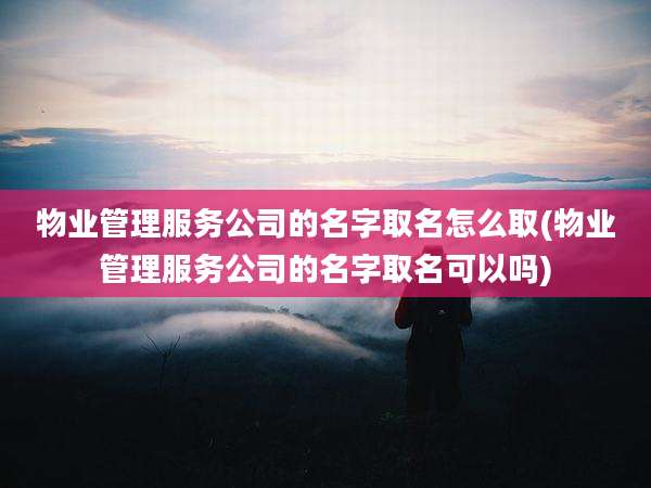 物业管理服务公司的名字取名怎么取(物业管理服务公司的名字取名可以吗)
