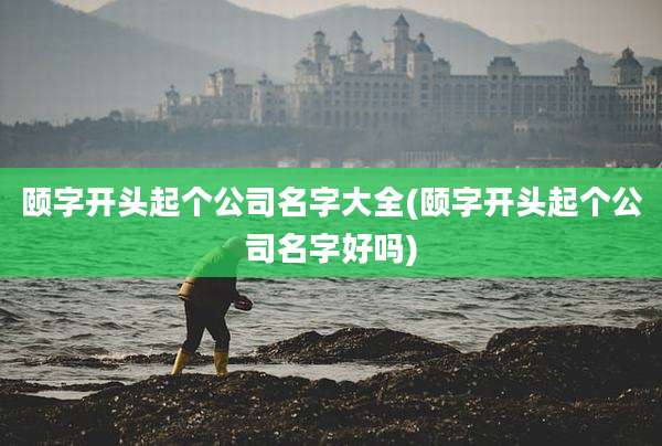 颐字开头起个公司名字大全(颐字开头起个公司名字好吗)