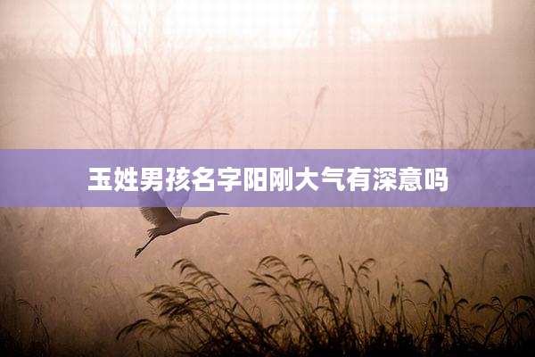 玉姓男孩名字阳刚大气有深意吗