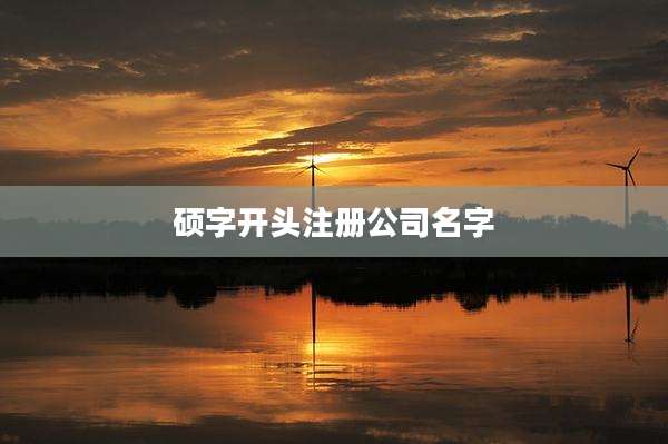硕字开头注册公司名字