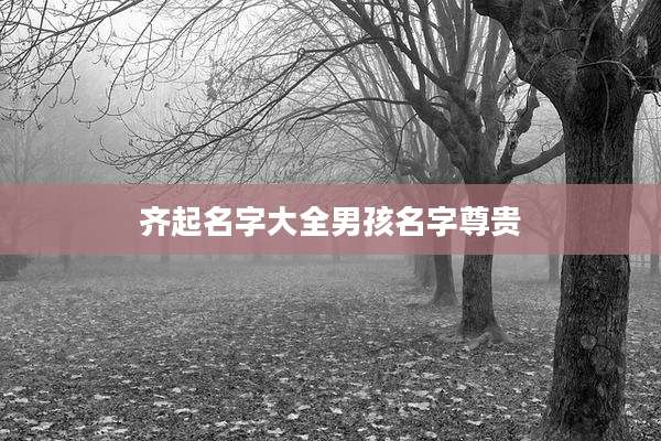 齐起名字大全男孩名字尊贵