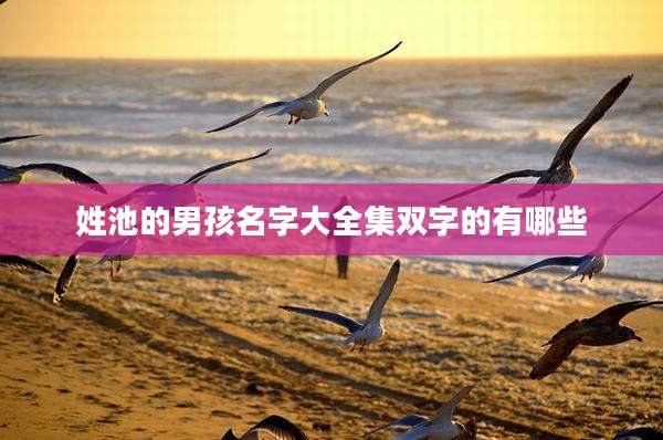 姓池的男孩名字大全集双字的有哪些